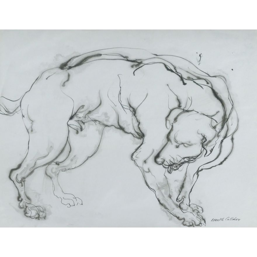 Kenneth Callahan ''Recumbent Dog'' Ink