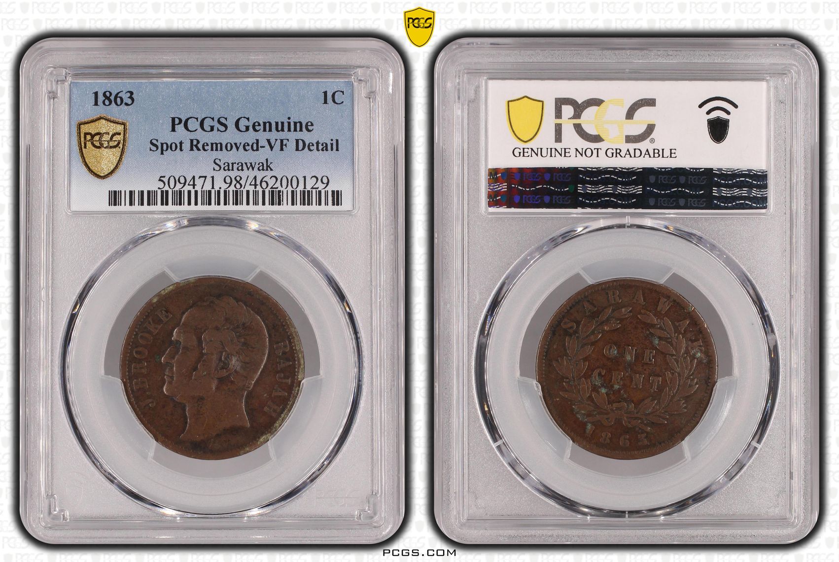 Sarawak, One Cent, 1863, PCGS Genuine - VF Details (98 - Damage)