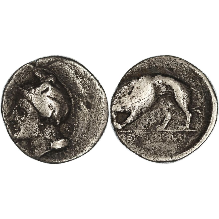 Lucania, Velia, Silver Didrachm, 334-300 BC,  gF
