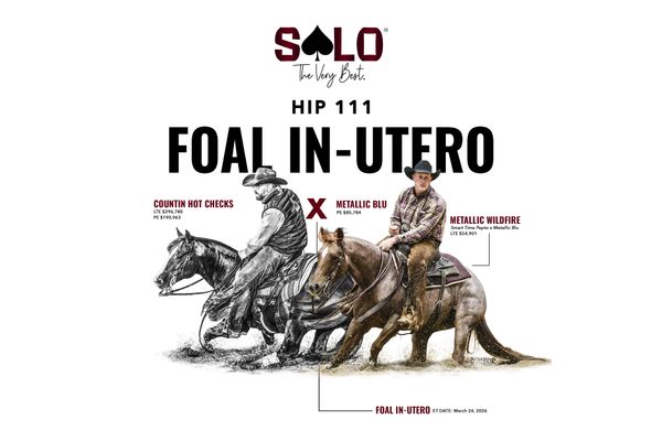 2027 embryo, Countin Hot Checks x Metallic Blu, Lot 111 in the Solo Select October Sale