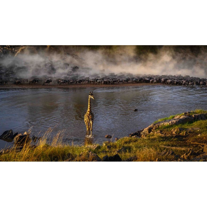 Artur Stankiewicz - Fotografia „Poranek z żyrafą”
