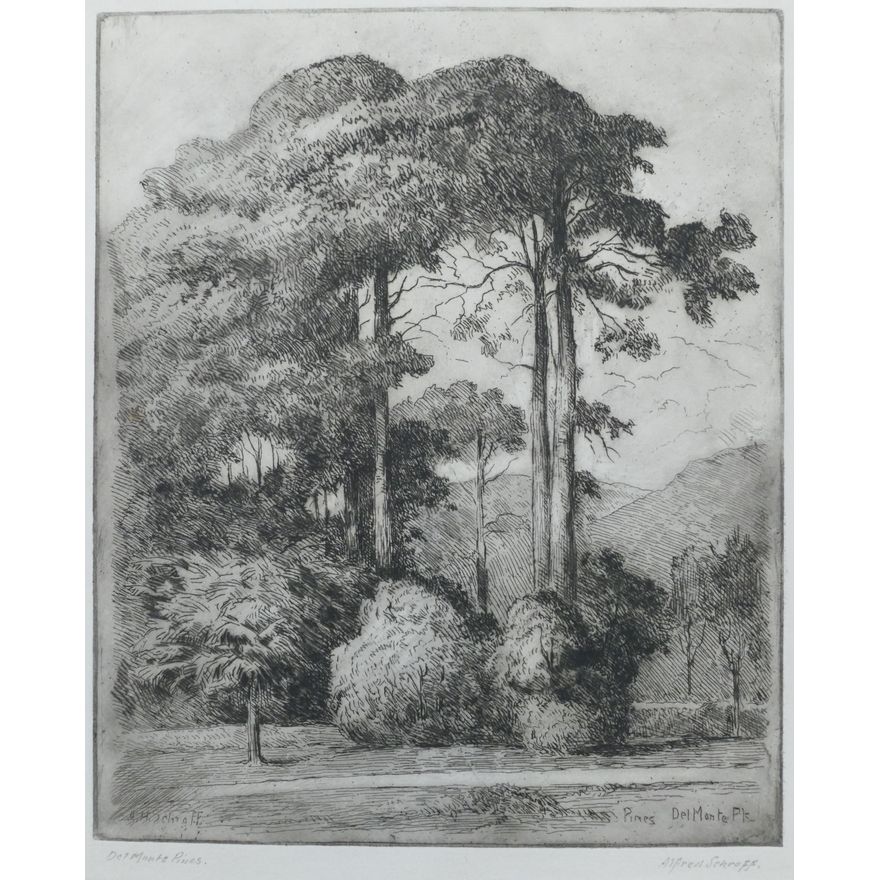 Alfred Schroff ''Del Monte Pines'' Etching