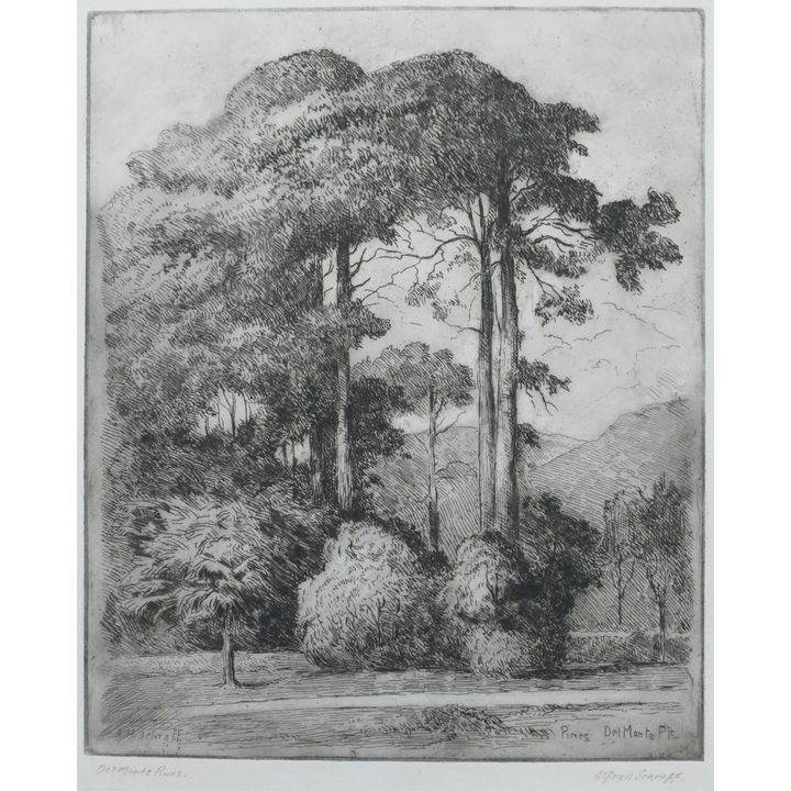 Alfred Schroff ''Del Monte Pines'' Etching