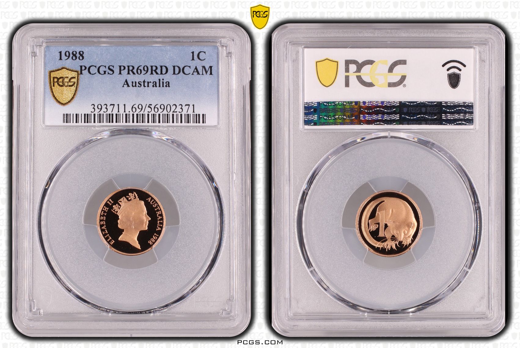 One Cent, 1988, Pcgs Pr69dcam