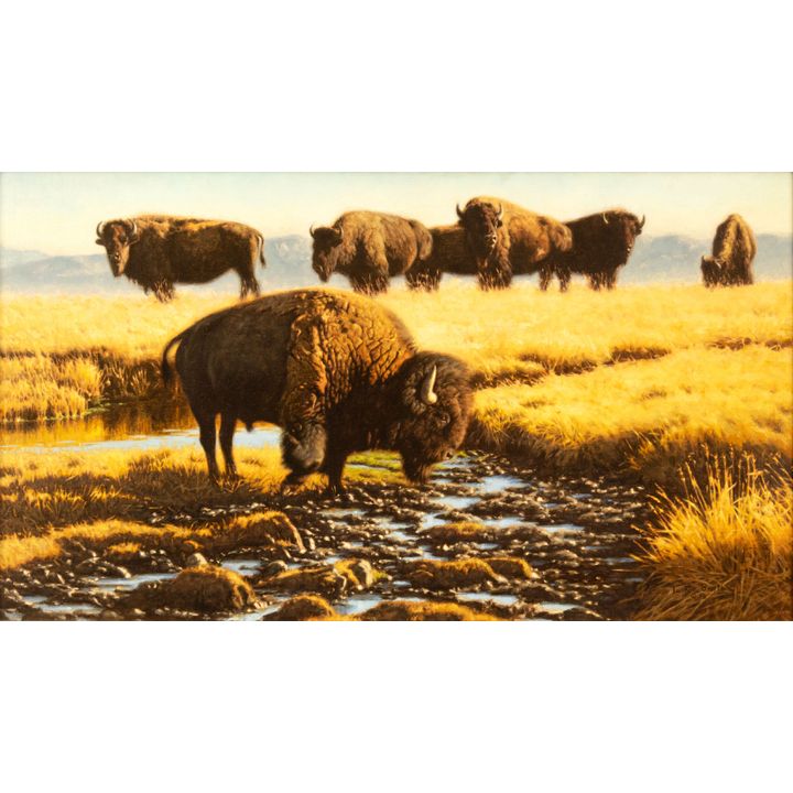 Tucker Smith (1940-), Soda Springs