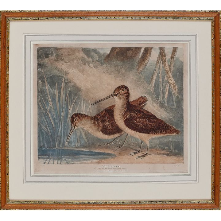 C. TURNER (1774-1857) 'Snipes' and 'Woodcocks'