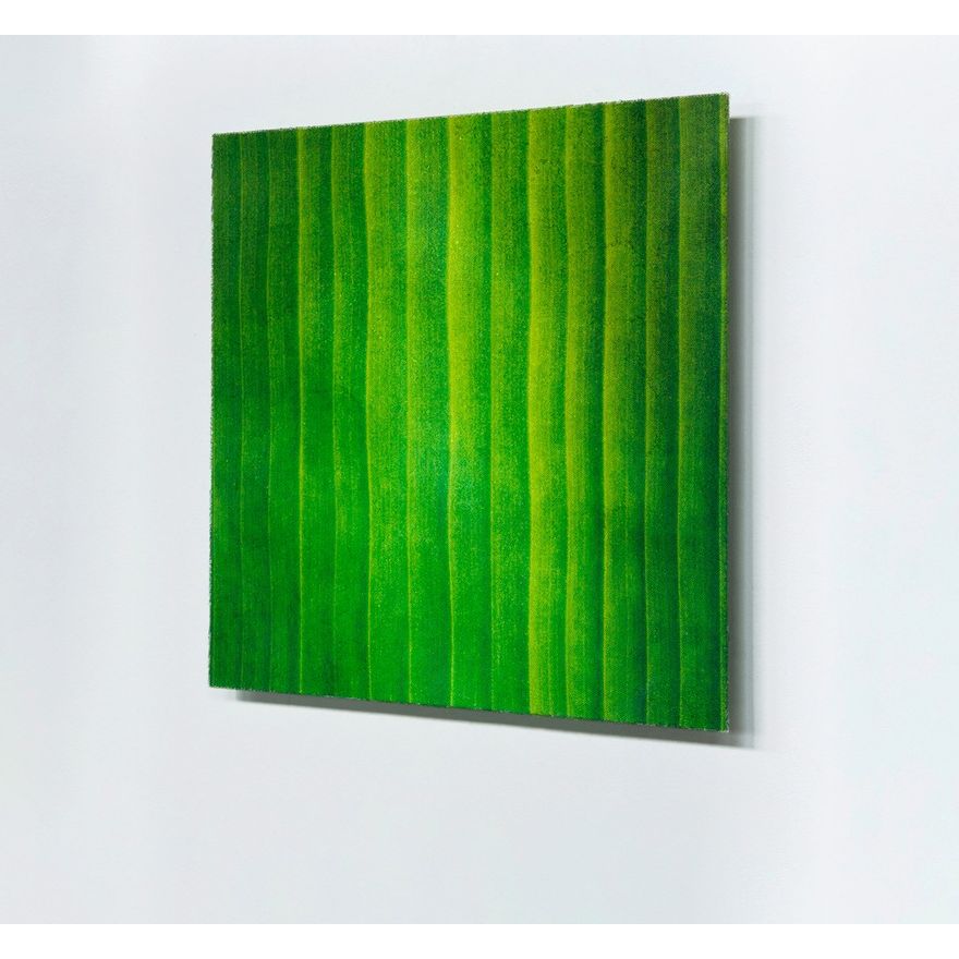Elizabeth Thomson 'Tongatapu, 2016 '