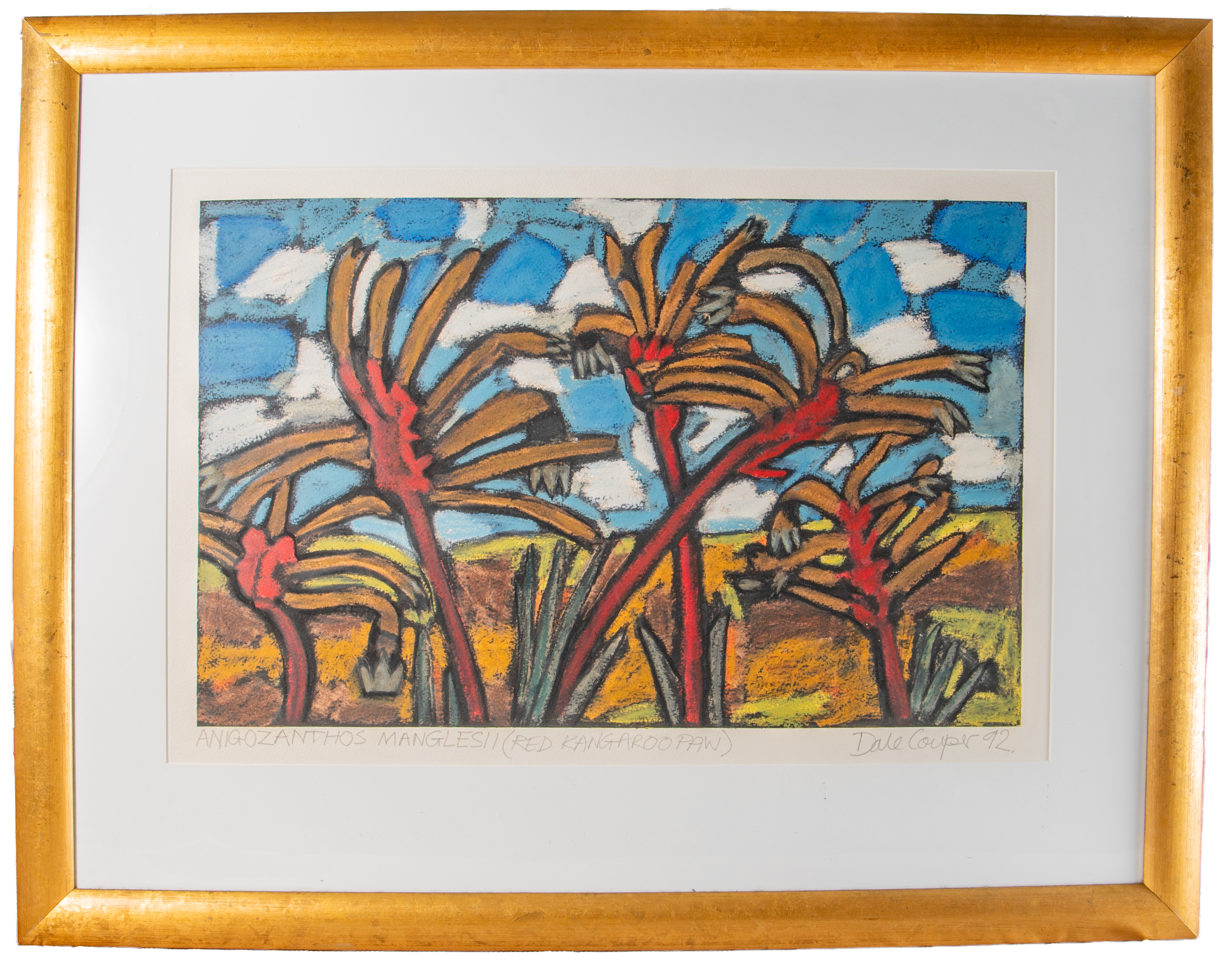 Dale Couper, 'Anigozanthos Manglesii (Red Kangaroo Paw)', 1992
