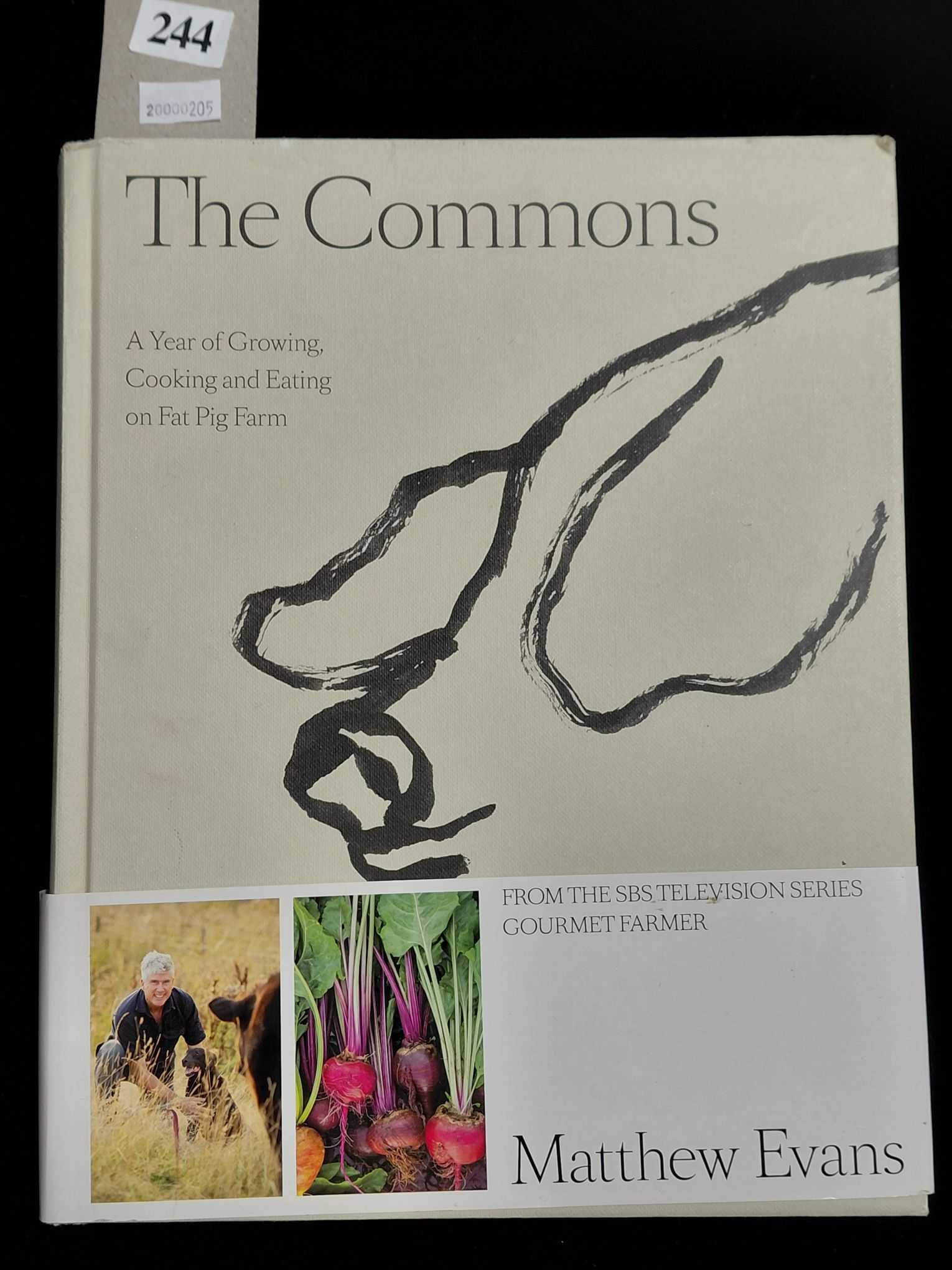 244 · THE COMMONS