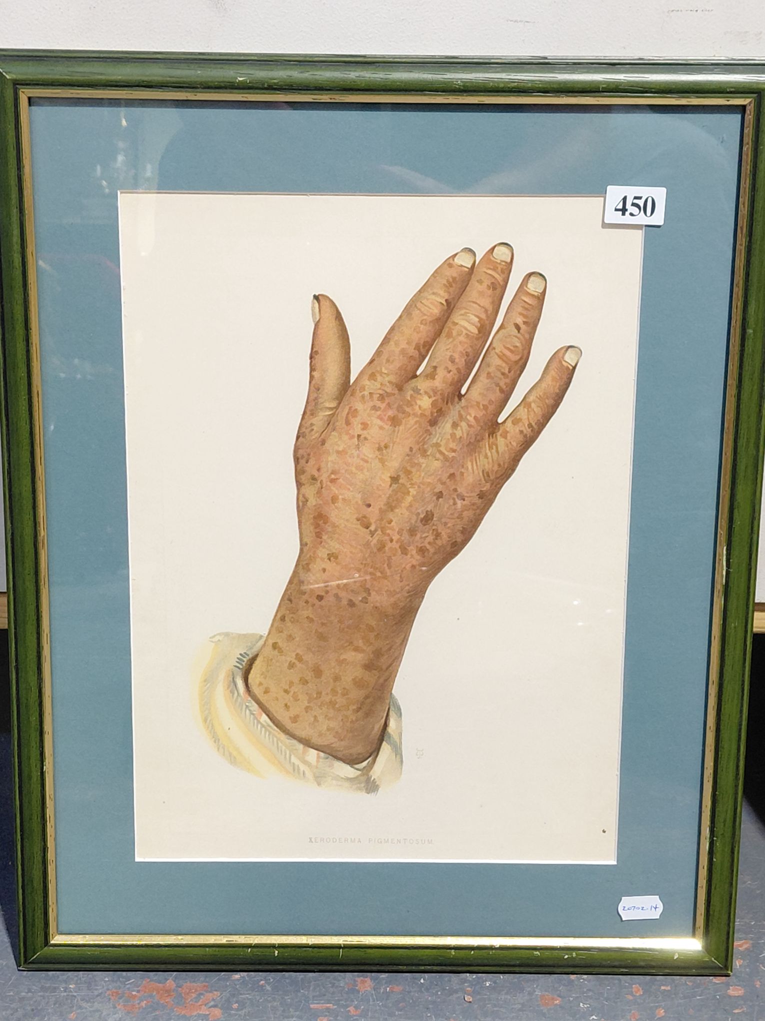 450 · COLOURED LITHOGRAPH