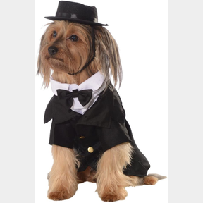 Formal Dapper Pet Costume with Top Hat Black XL | USED