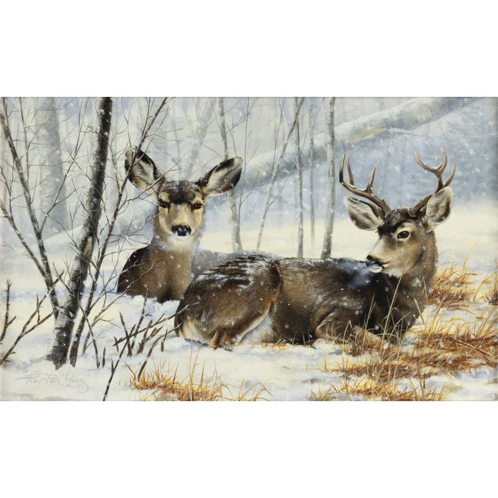 Ray Young (1958-2005), Silent Snow - Mule Deer, 1991