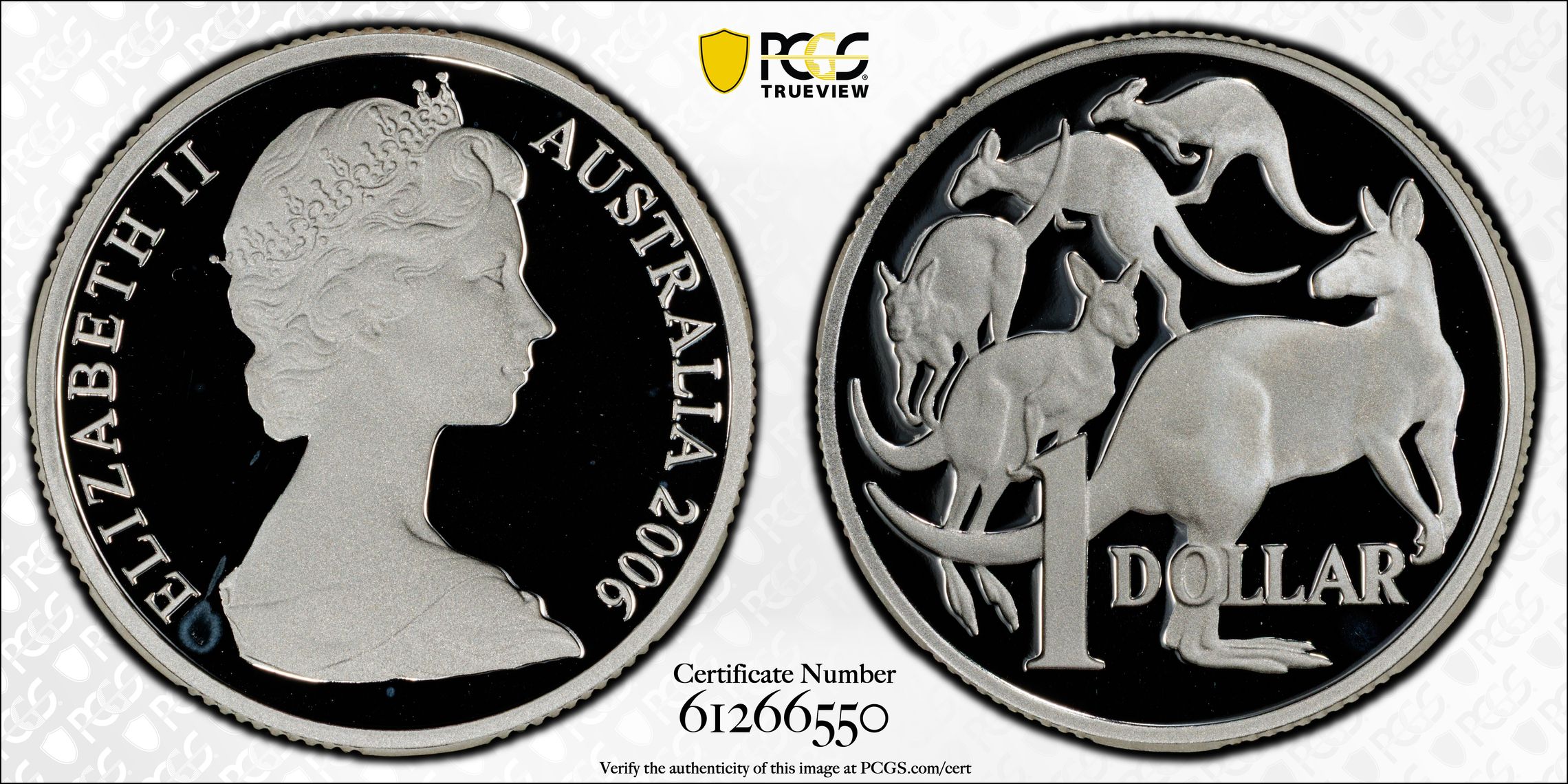 Young Bust Silver, One Dollar, 2006, PCGS PR68DCAM