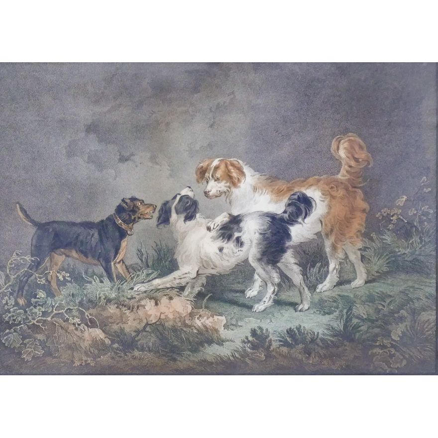 Antique Dogs Colored Engraving Gilt Framed- 23x28''