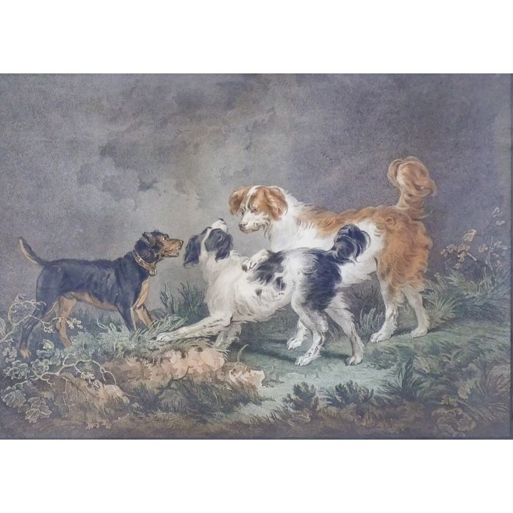 Antique Dogs Colored Engraving Gilt Framed- 23x28''