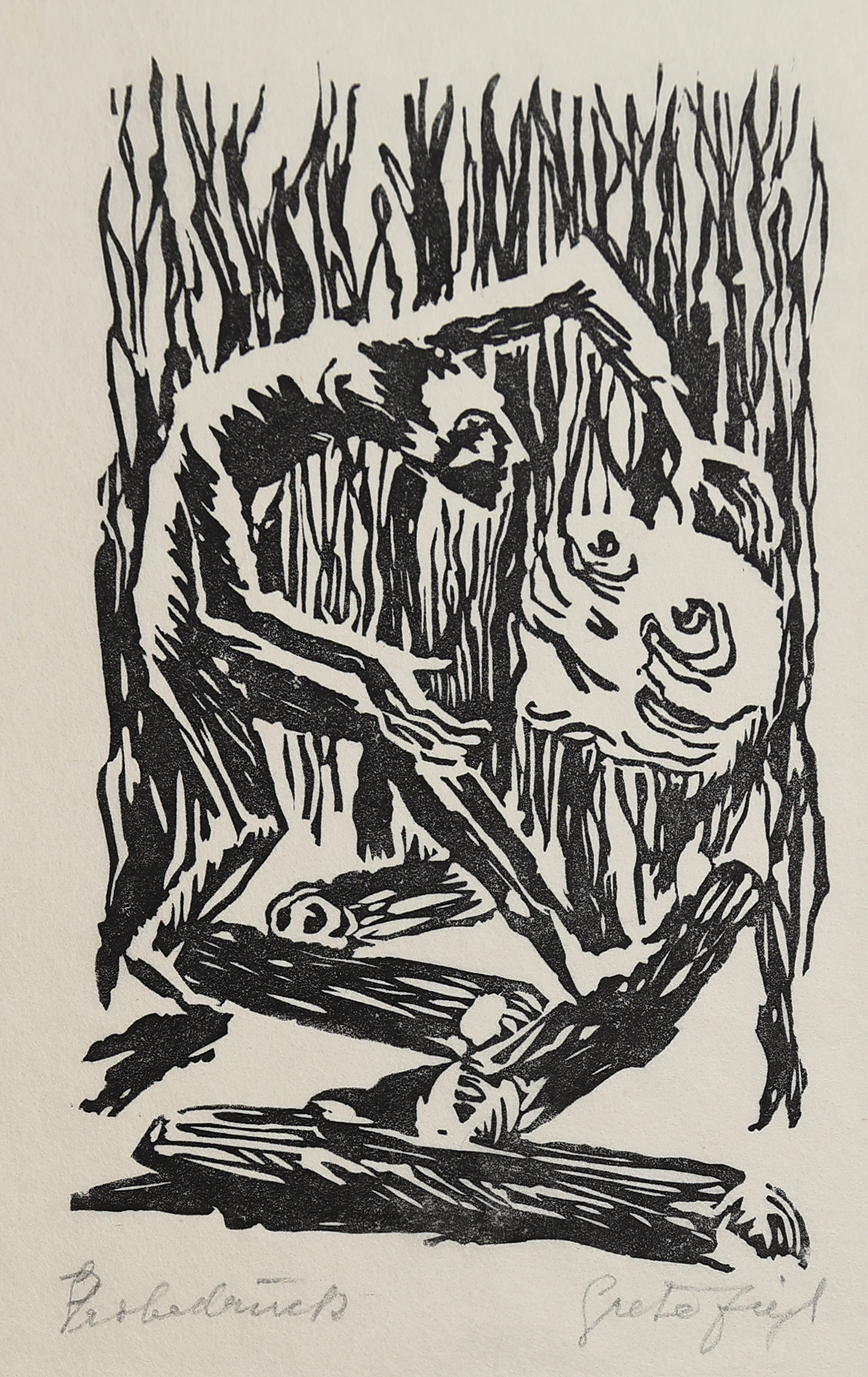 Image cover