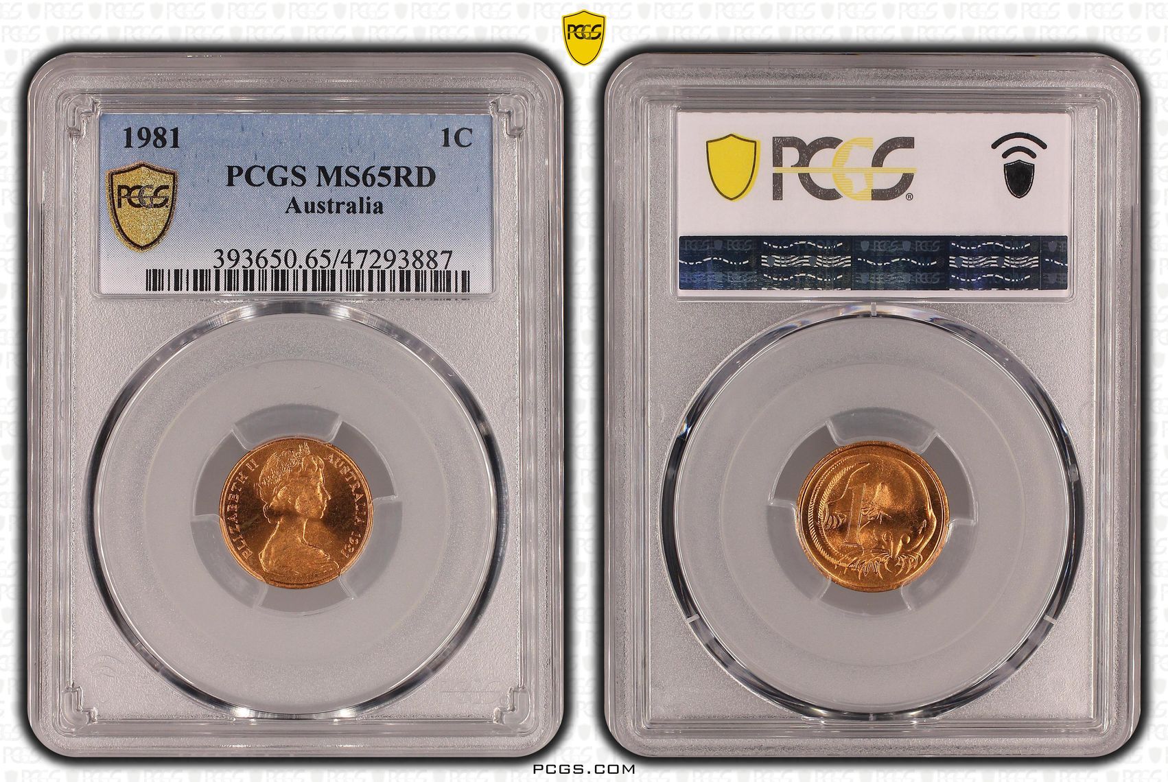 Elizabeth II, , One Cent, 1981, PCGS MS65RD