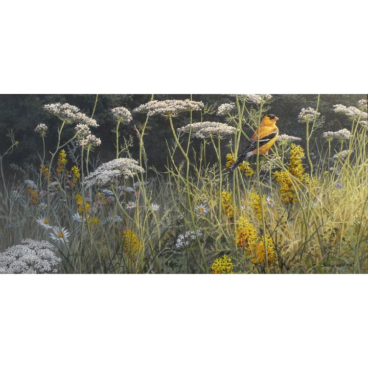 John Seerey-Lester (1946- ), Evening Meadow, American Goldfinch