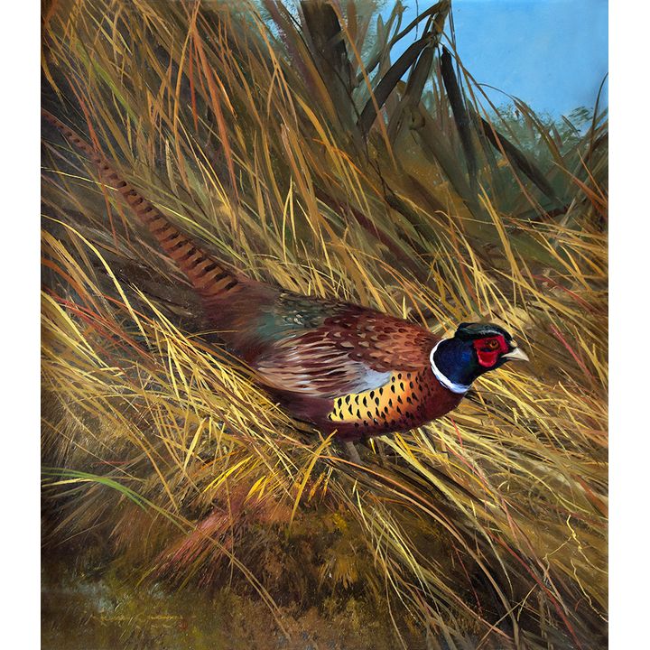 Michael Coleman (1946- ), The Ever Present Pheasant