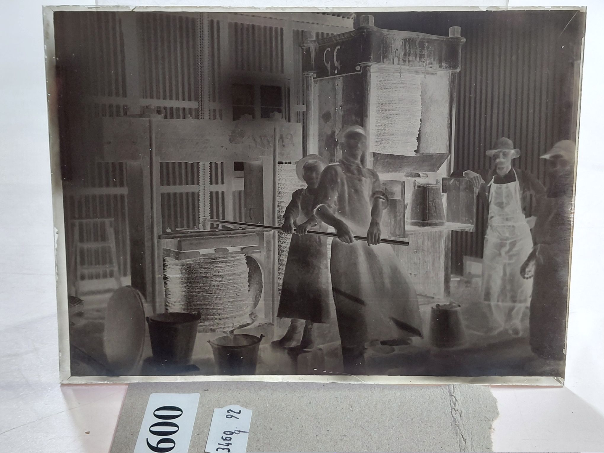 600 · GLASS NEGATIVES