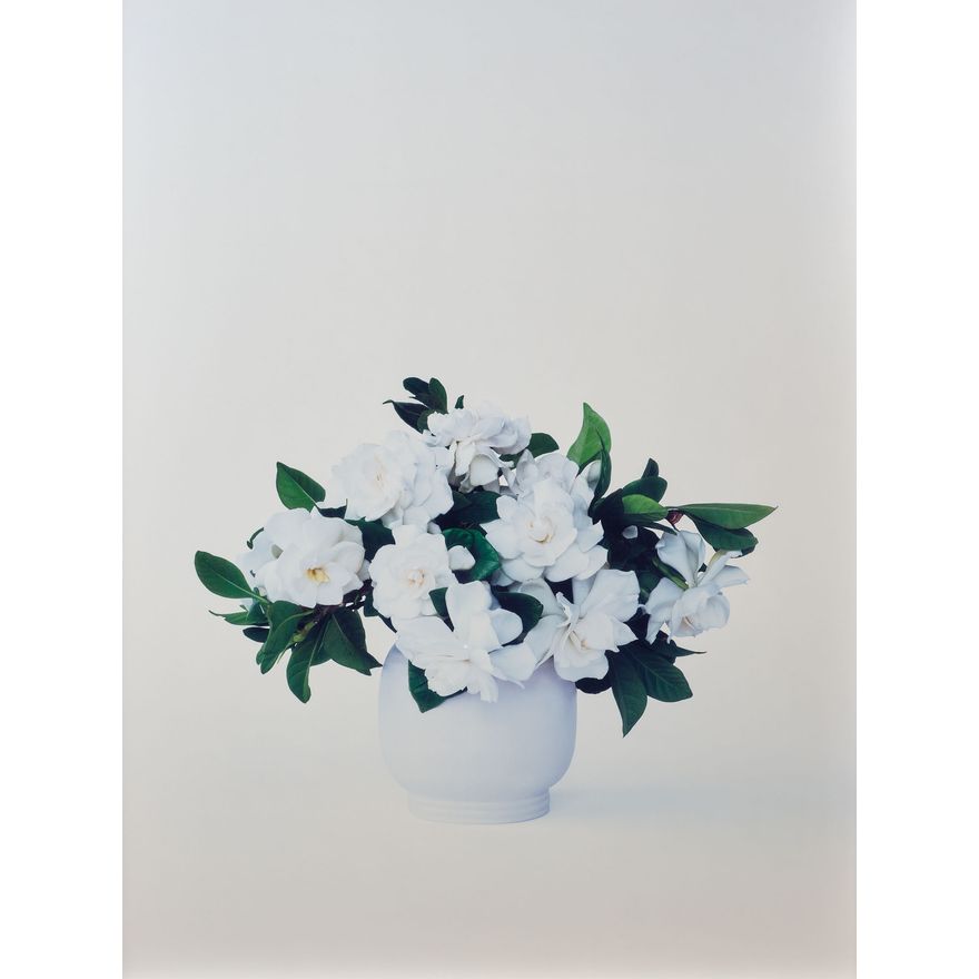 Andrew Harvey 'Untitled'