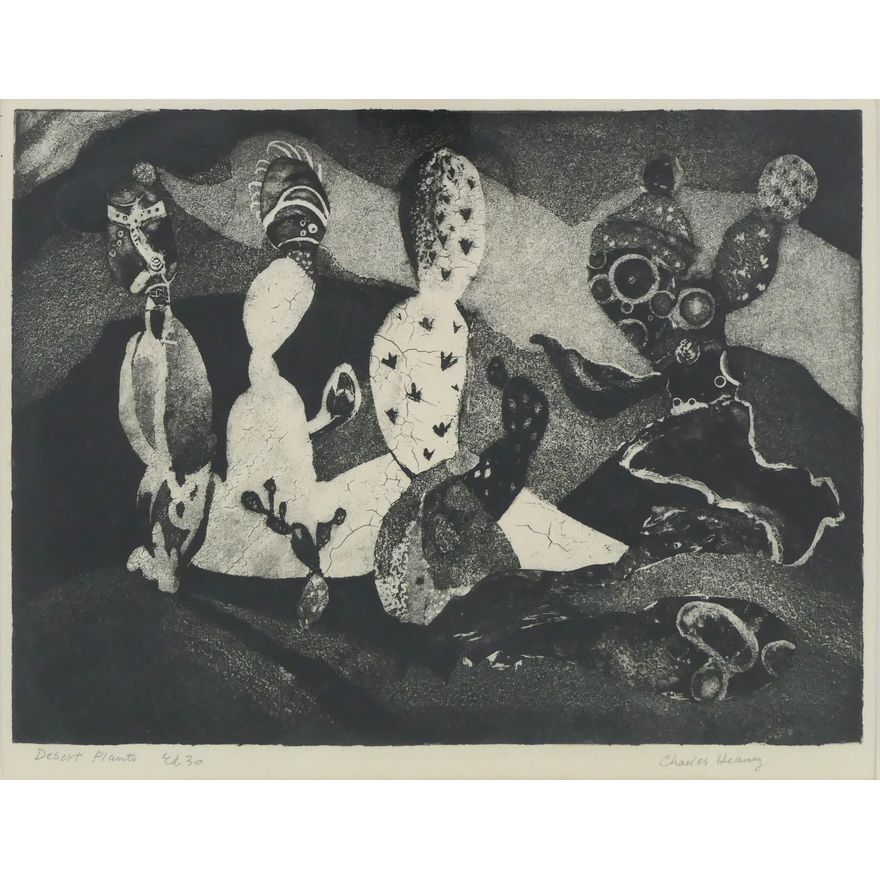 Charles Heaney 'Desert Plants' Aquatint. Edition of 30.