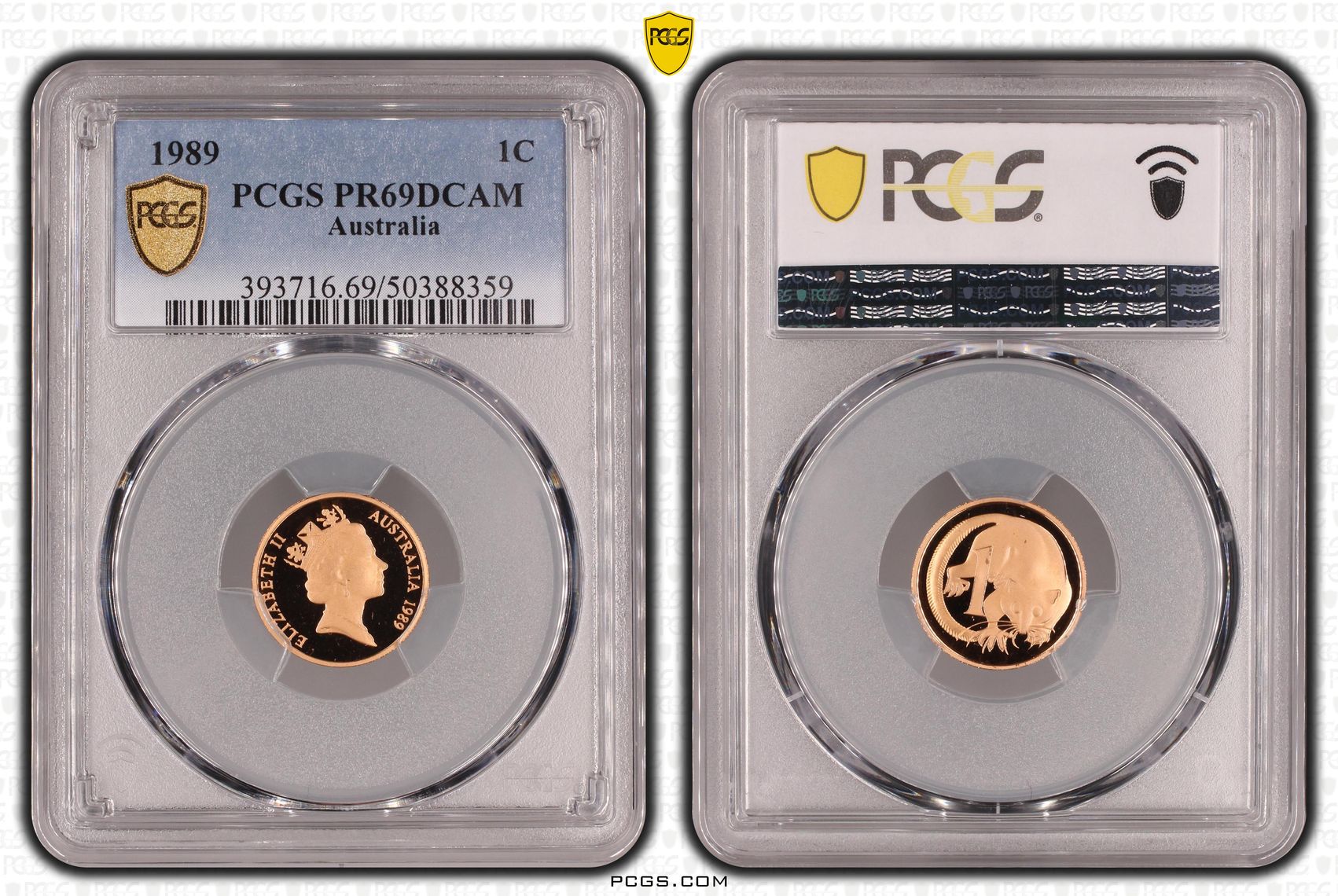 One Cent, 1989, Pcgs Pr69dcam