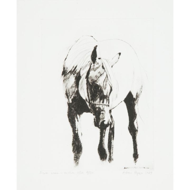 Artur Popek | Siwa klacz, 1989