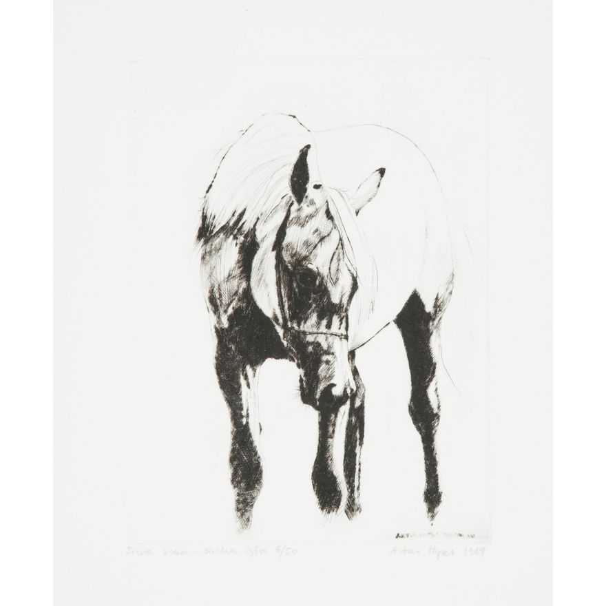 Artur Popek | Siwa klacz, 1989