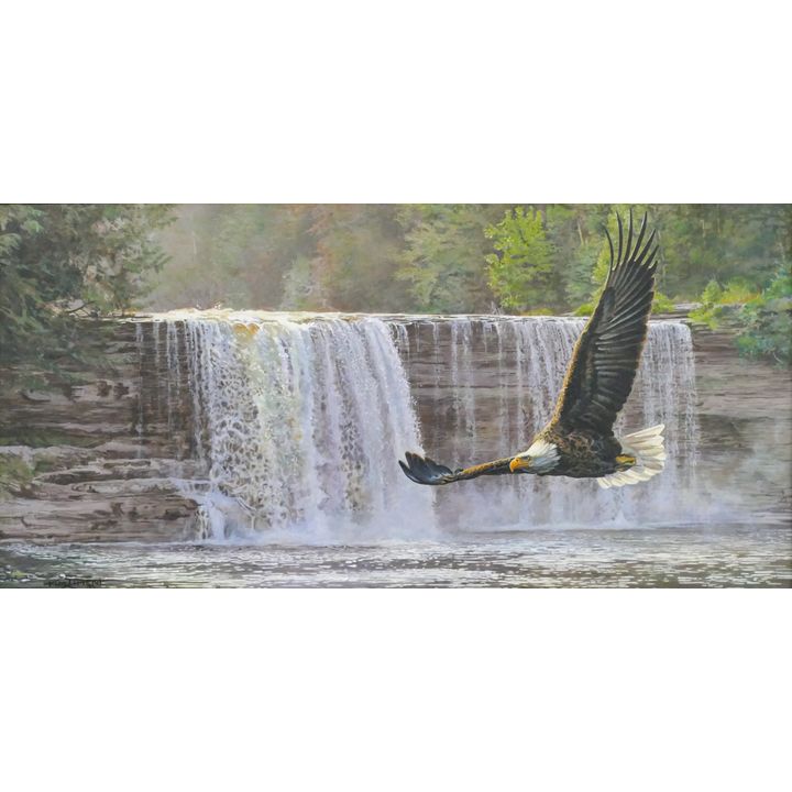 Kim Diment ''Eagle in Flight" Acrylic