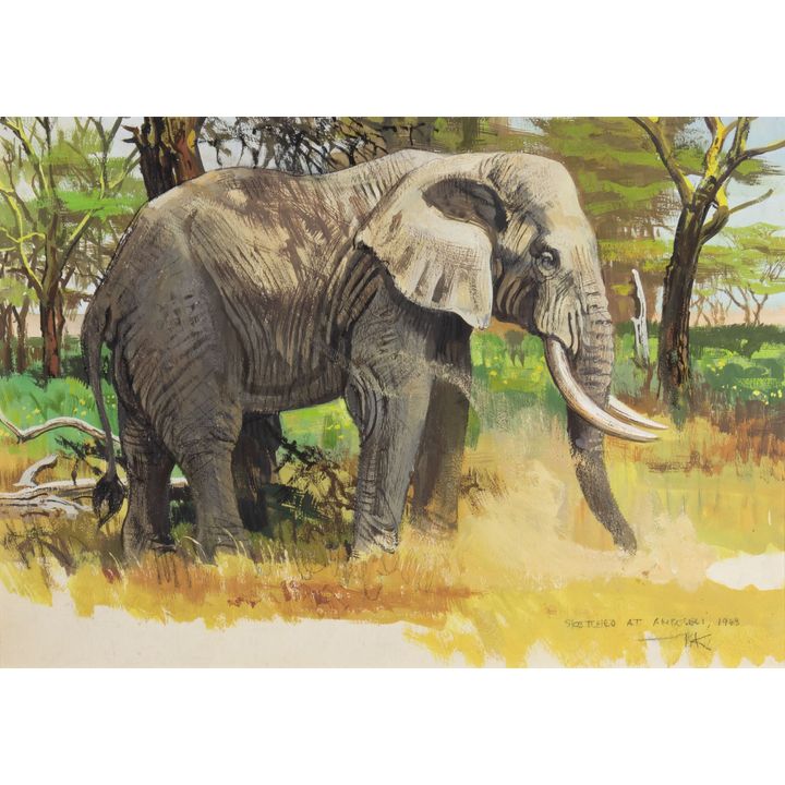 Bob Kuhn (1920-2007), Elephant at Amboseli, 1963