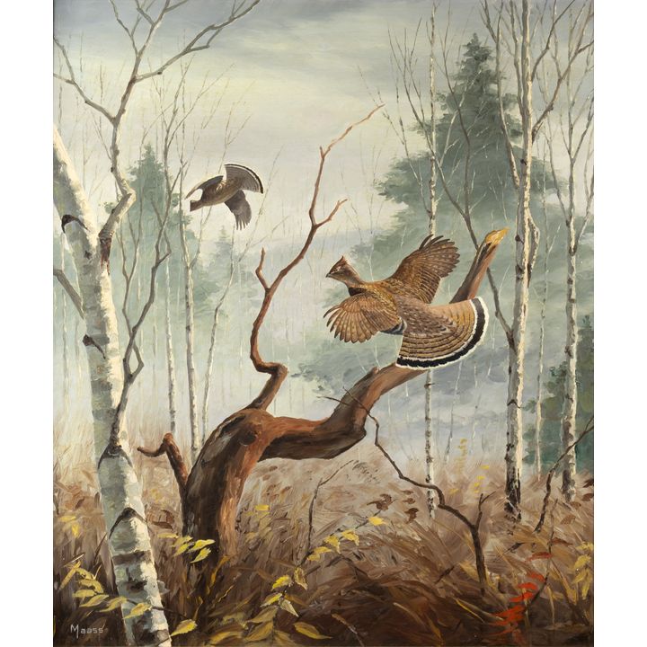 David Maass (1929- ), Ruffed Grouse