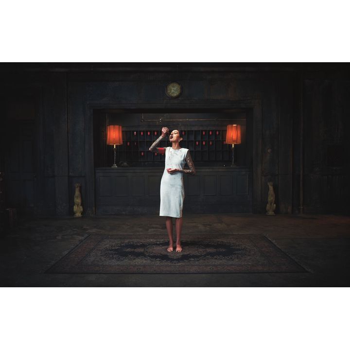 Heather Straka 'Isolation Hotel VI'