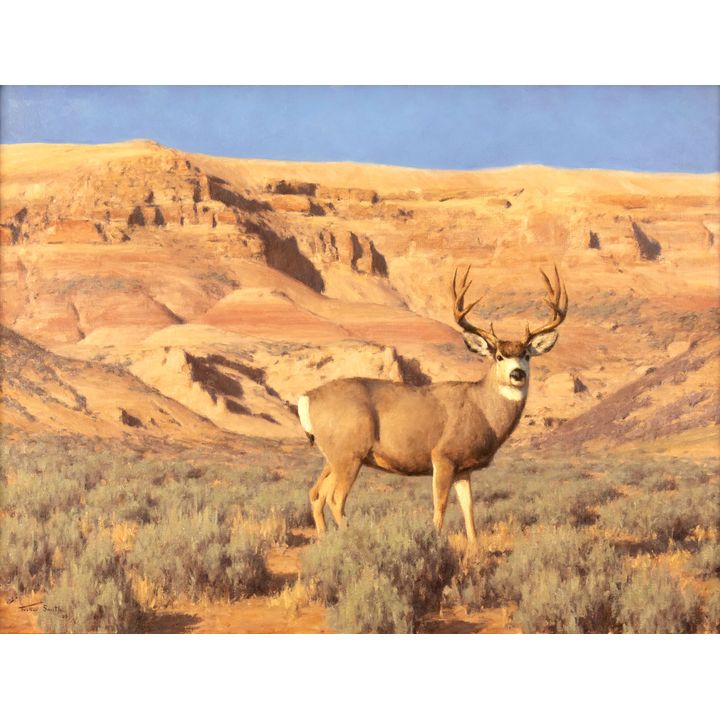 Tucker Smith (1940-), Desert Muley