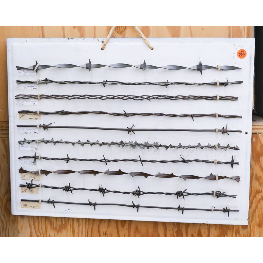 Old Barbed Wire Display on Tin - 15x20''