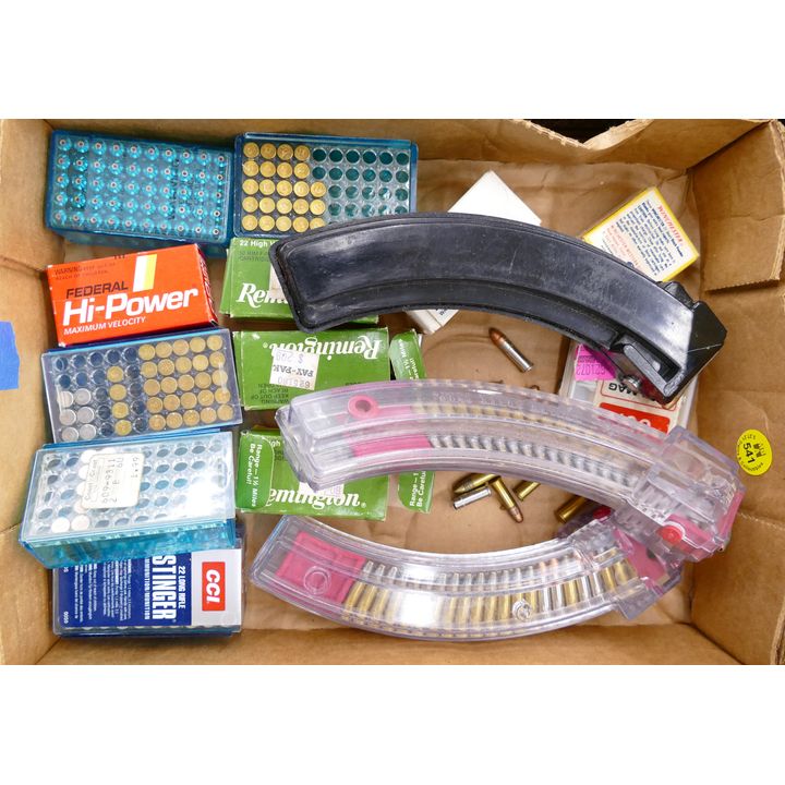 Box 22 Caliber Ammunition & Clips- 300 Rounds approx