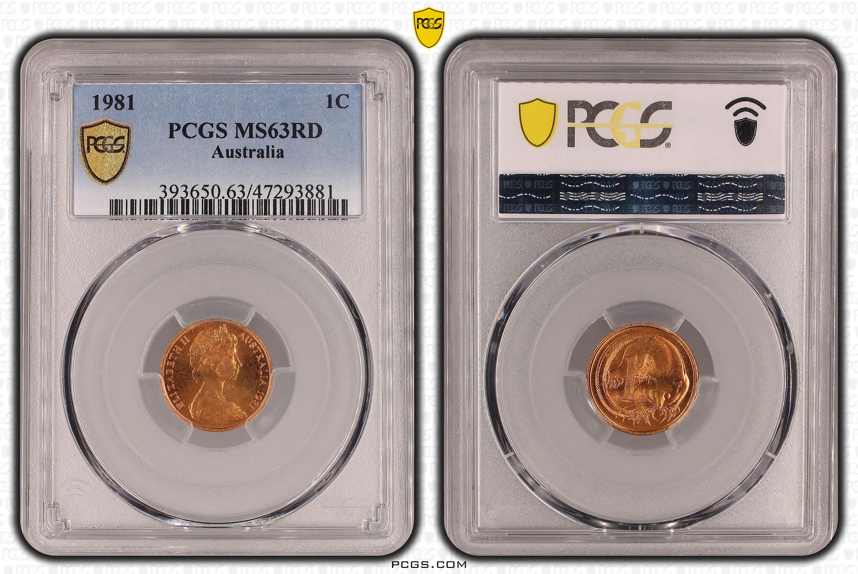 One Cent, 1981, PCGS MS 63RD