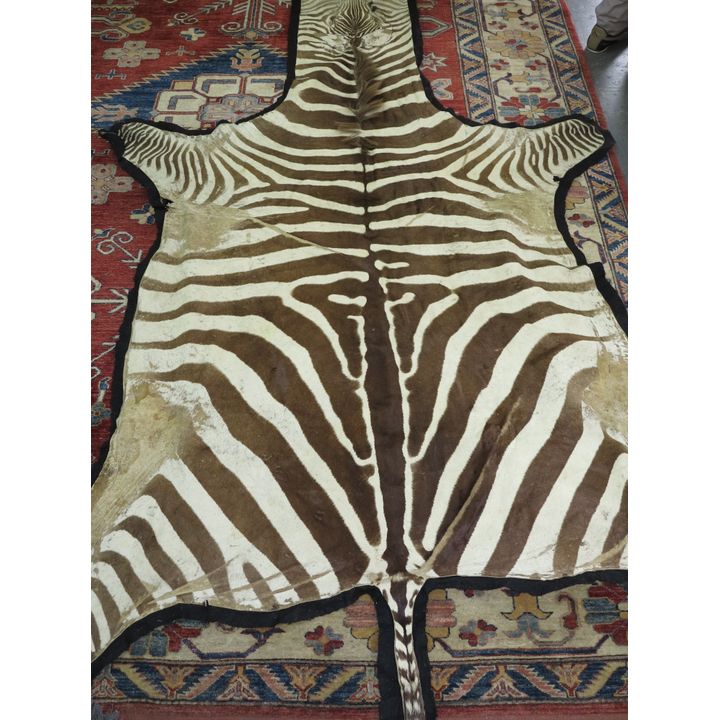 ZEBRA SKIN,