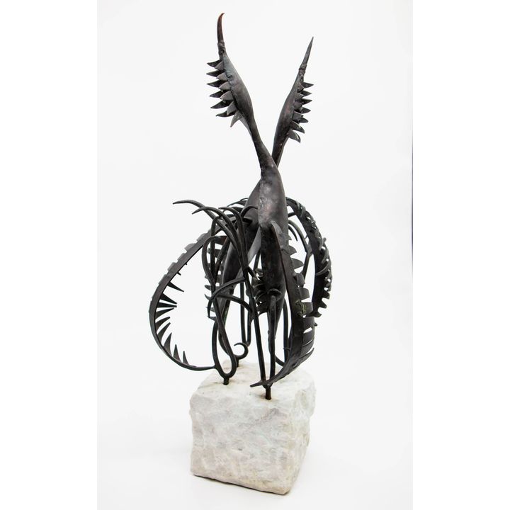 John Middleditch 'Mating Dances of Birds'