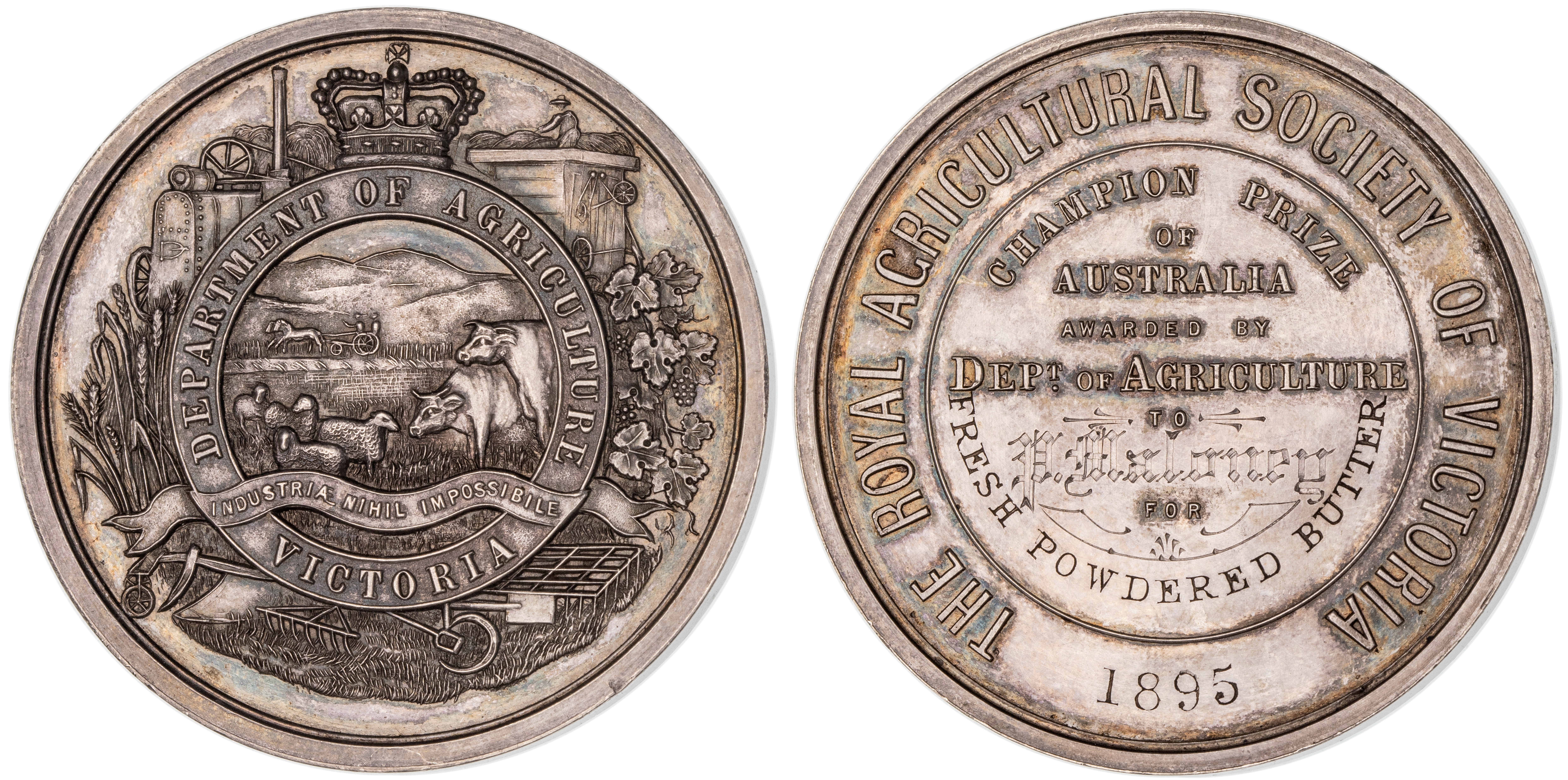 The Royal Agricultural Society of Victoria, 1895, gEF