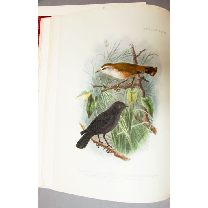 Sir Walter Lawry Buller [association copy] 'Supplement to the Birds of New Zealand'