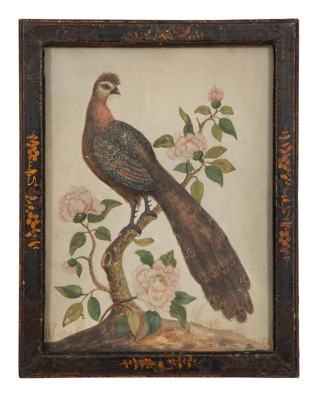 A Watercolor and Gouache Bird Illustration in the Manner of Samuel Dixon