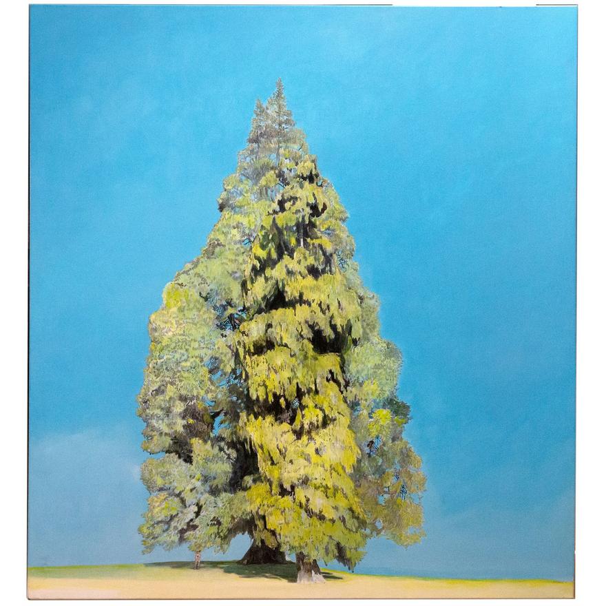 376 · Lucinda Chambers, Untitled (Tree), 2006