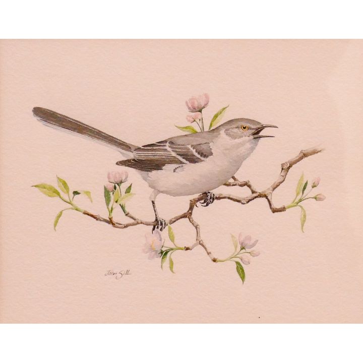 John Sill 'Mockingbird' Watercolor Framed- 16x17.5''