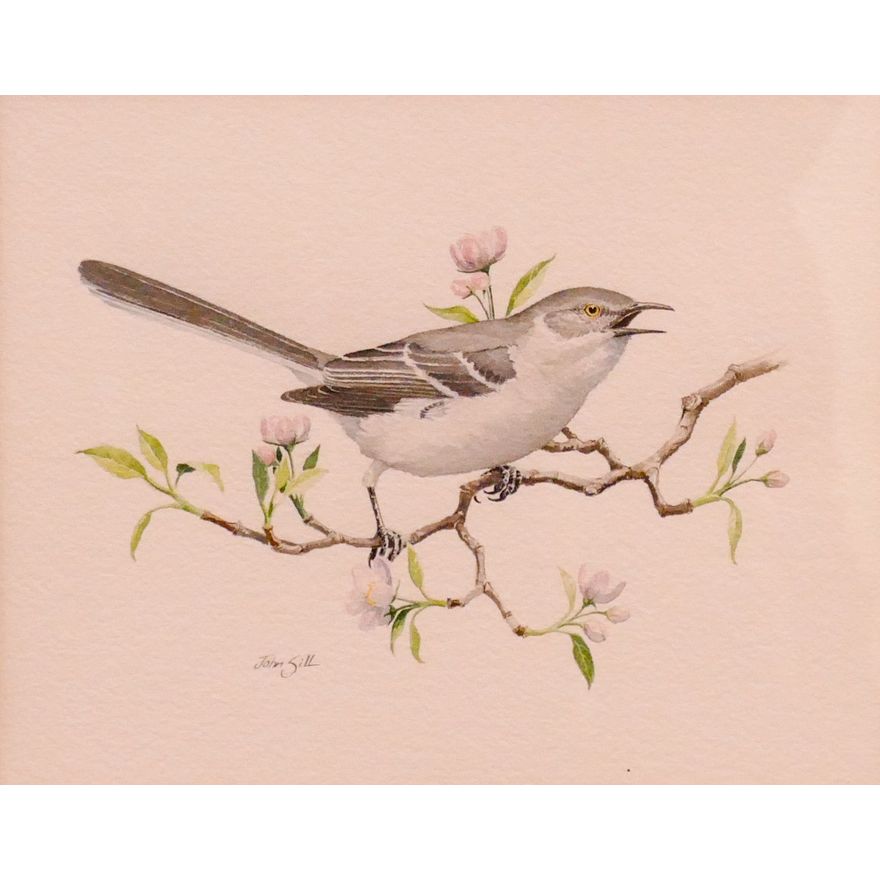 John Sill 'Mockingbird' Watercolor Framed- 16x17.5''