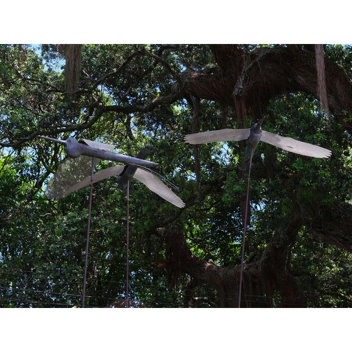 Stuart Angus 'Three Herons'