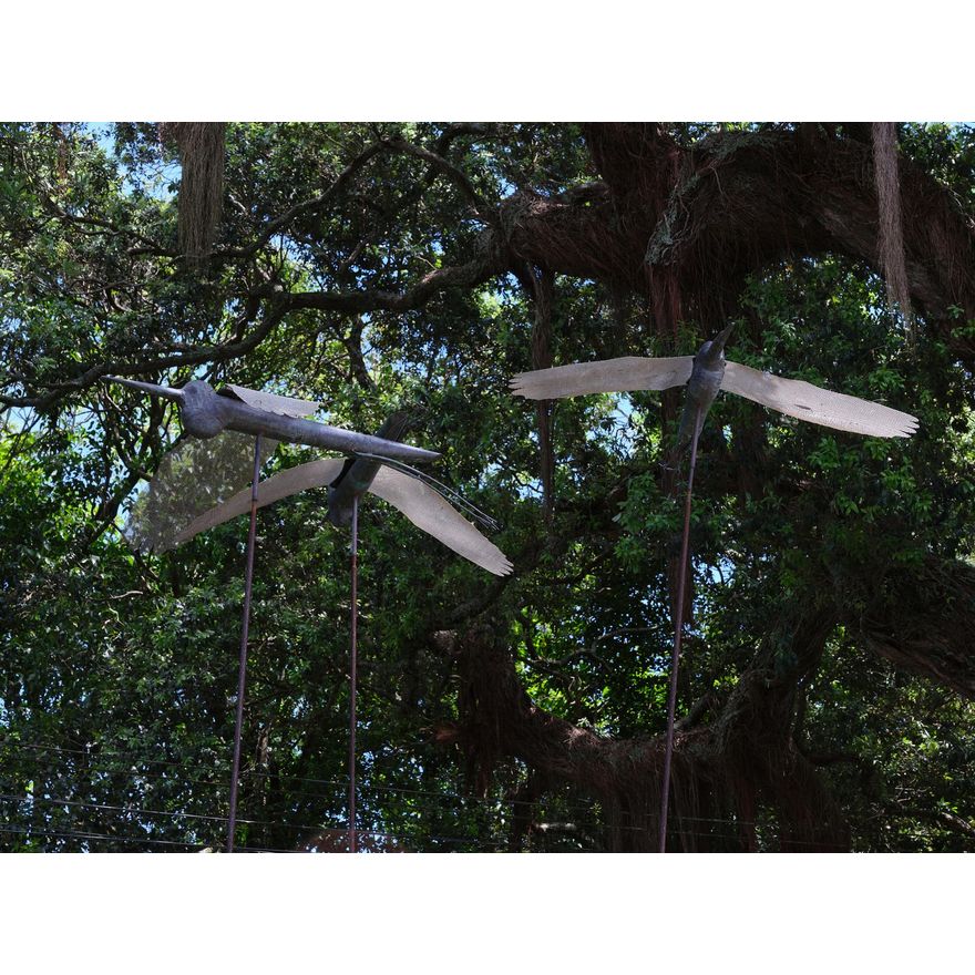 Stuart Angus 'Three Herons'