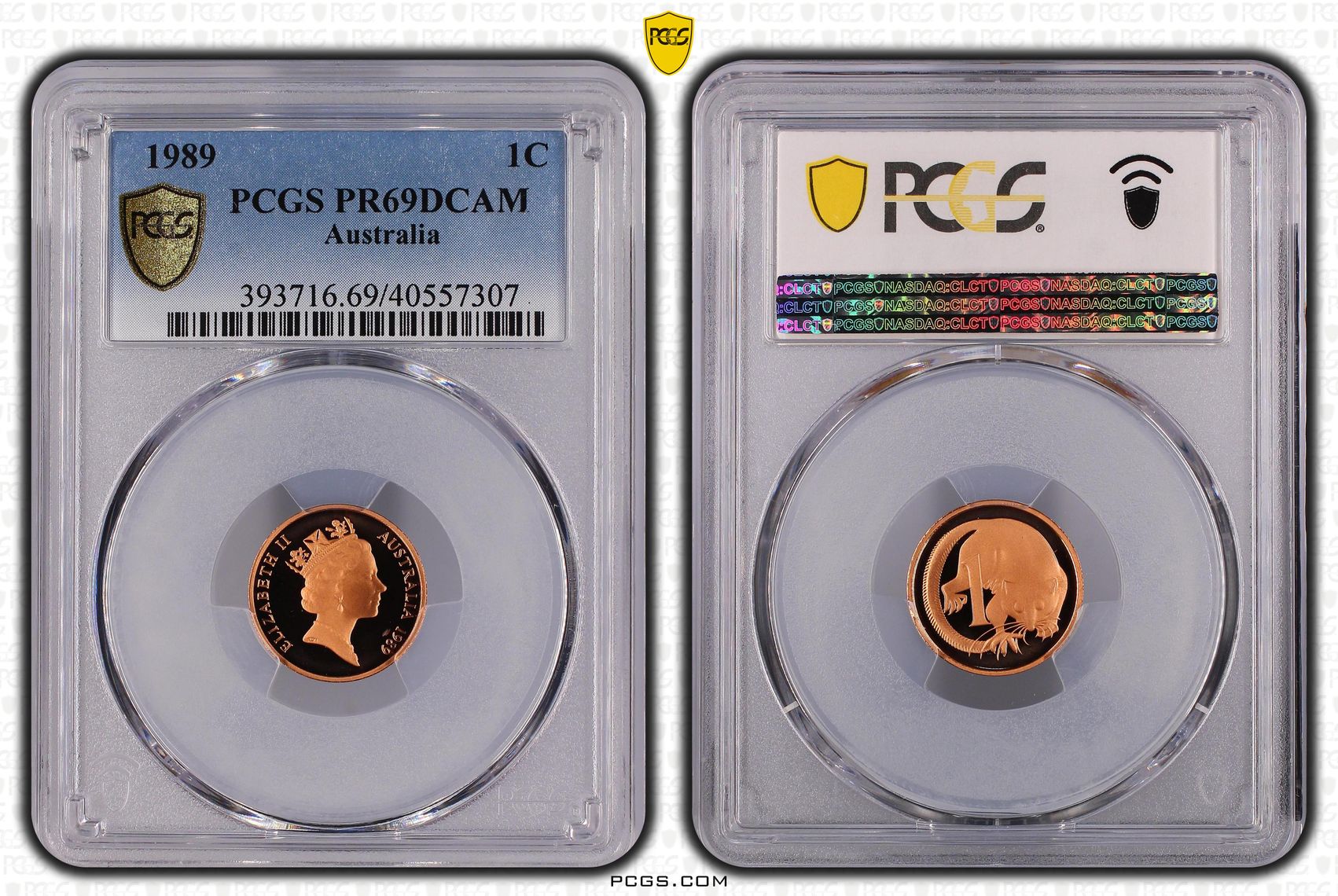 Elizabeth II, One Cent, 1989, PCGS PR69DCAM