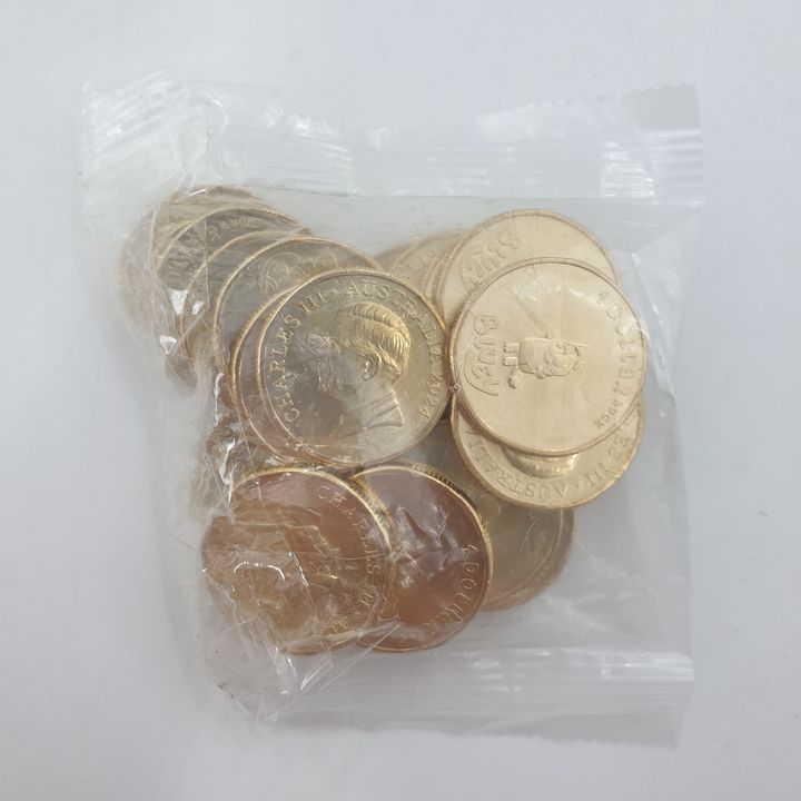 Bluey Dollar Bucks Coins (Sealed Bag)