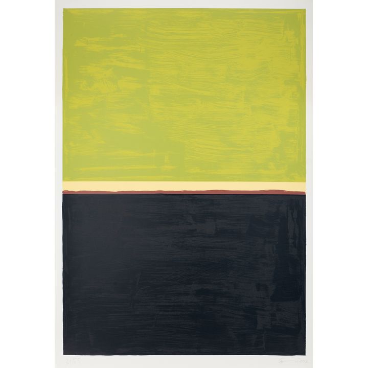 Günther Förg Untitled 2004
